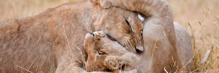 Chobe National Park