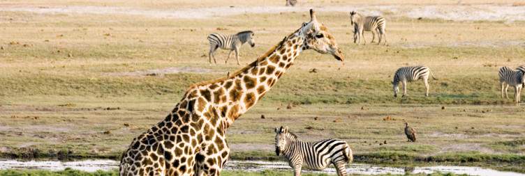 Chobe National Park