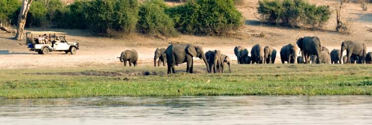 Chobe National Park