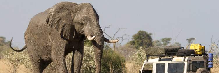Livingstone To Chobe National Park