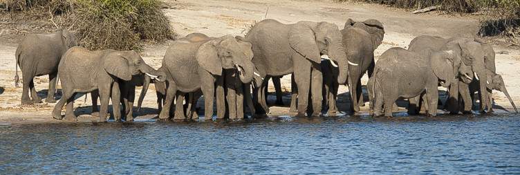 8-Day Victoria Falls, Chobe and Moremi Affordable Safari
