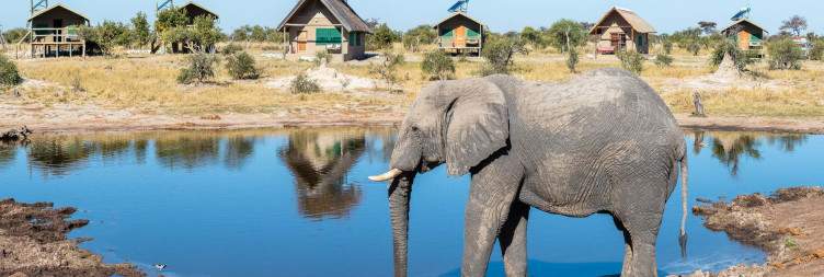 Maun to Elephant sands
