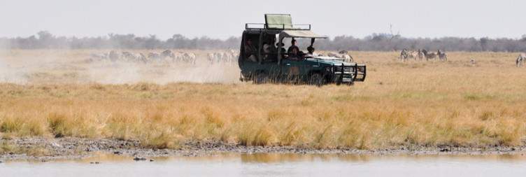 Arrive in Maun