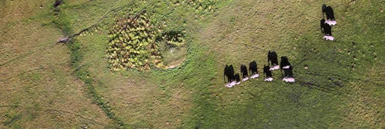 Mukoro Dug-Out Canoeing Experience at the Okavango Delta