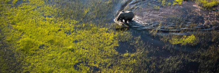 Arrive in Maun and Fly to the Delta