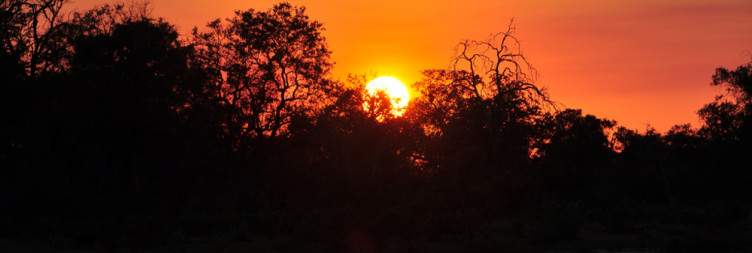 Light Aircraft Transfer Duba Explorers Camp to Selinda Explorers Camp