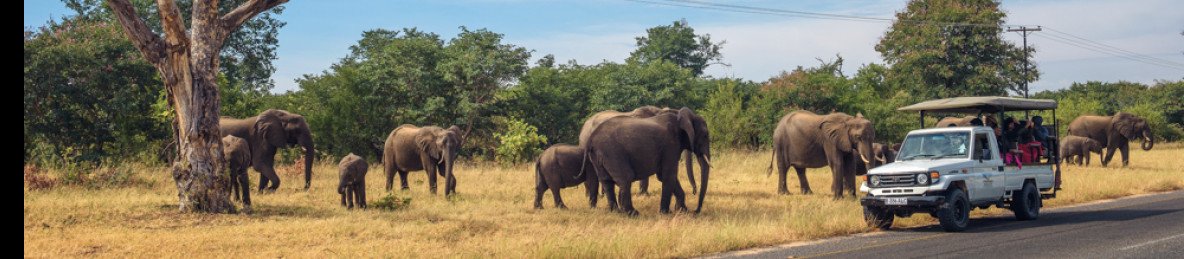 9-Day Game Viewing Explorer Tour
