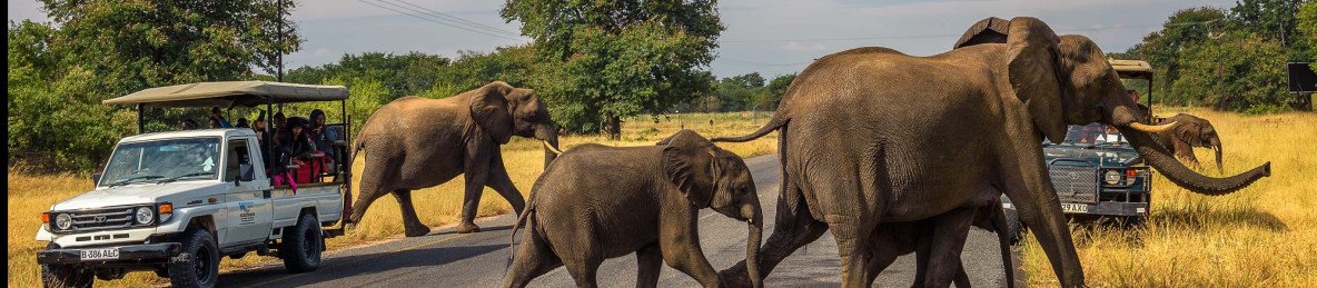 8-Day Maun to Victoria Falls Accommodated Trip