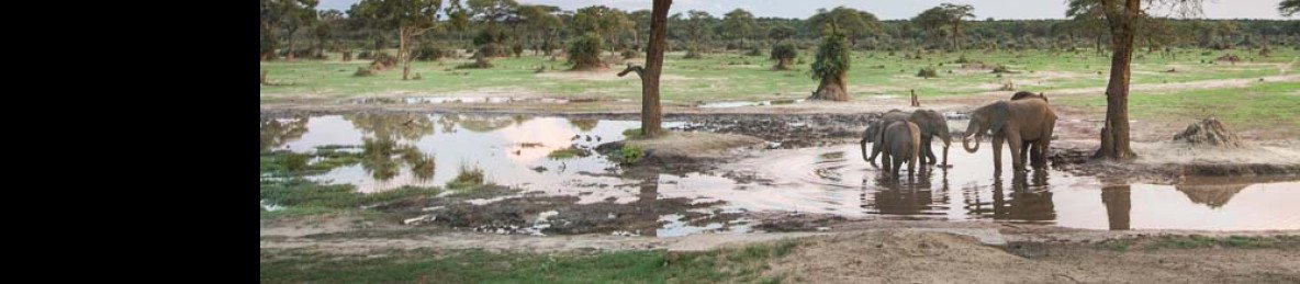 5-Day Livingstone & Chobe Camping Safari