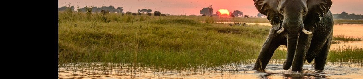 8-Day Victoria Falls to Okavango Delta Camping Safari