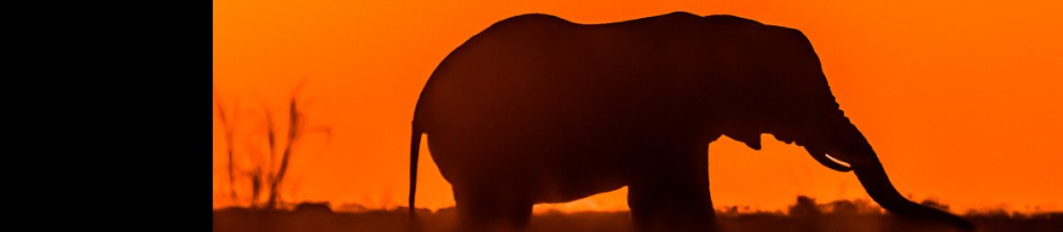 10-Day Botswana Journey