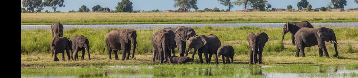 7-Day Makgadikgadi Pans, Okavango Delta & Chobe Safari