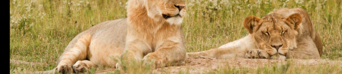5-Day Botswana Chobe and Delta Luxury Fly in Safari