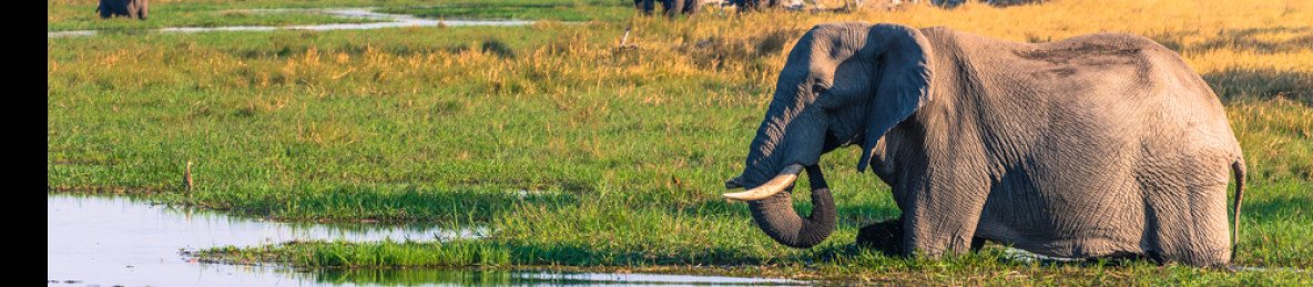 5-Day Botswana Safari in Savuti and Chobe