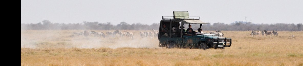 12-Day Hwange NP, Victoria Falls, Chobe, Savuti & Moremi
