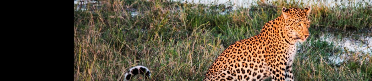 9-Day Okavango Delta Special - Great Plain Safari