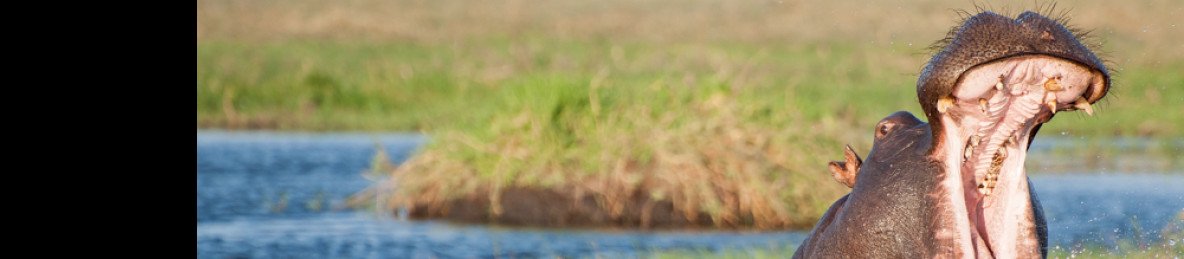 15-Day Ultimate Safari Victoria Falls to Okavango Delta
