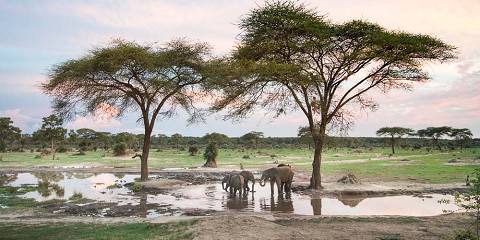 Budget camping Livingstone (City, Zambia) – Meals at Own Expense