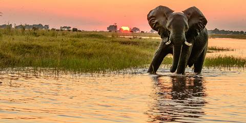 Budget camping Victoria Falls (Zimbabwe) – Day 1: Dinner Included – Day 2: Breakfast & Dinner Included