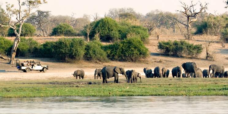 5-Day Botswana Safari - Short and Sweet