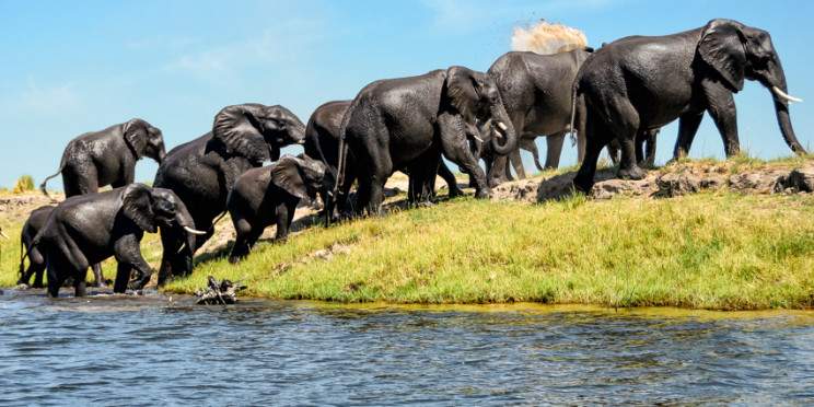 7-Day Chobe, Okavango Delta & Victoria Falls Luxury Tour