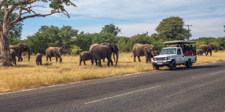 9-Day Game Viewing Explorer Tour
