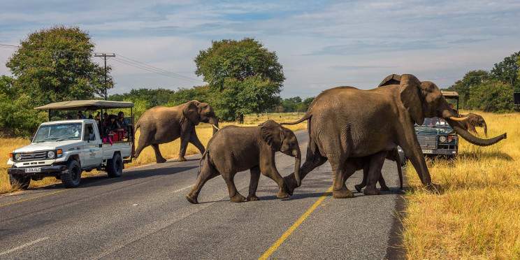 8-Day Maun to Victoria Falls Accommodated Trip