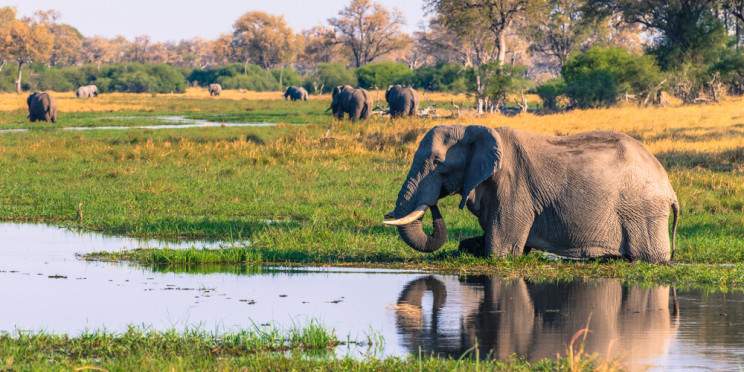 5-Day Botswana Safari in Savuti and Chobe