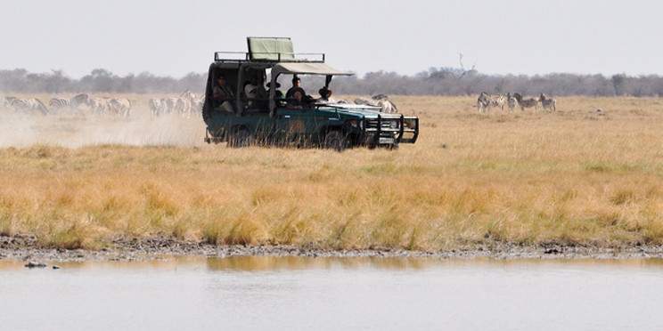 12-Day Hwange NP, Victoria Falls, Chobe, Savuti & Moremi