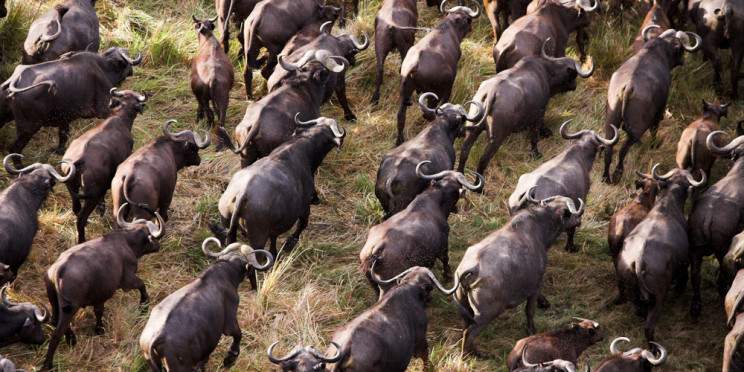 5-Day Victoria Falls & Chobe NP Safari Package