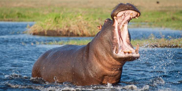 15-Day Ultimate Safari Victoria Falls to Okavango Delta