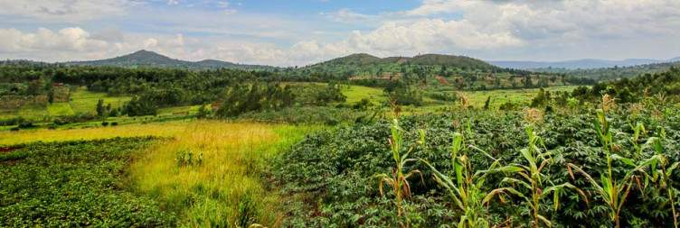 Transfer to Gitega