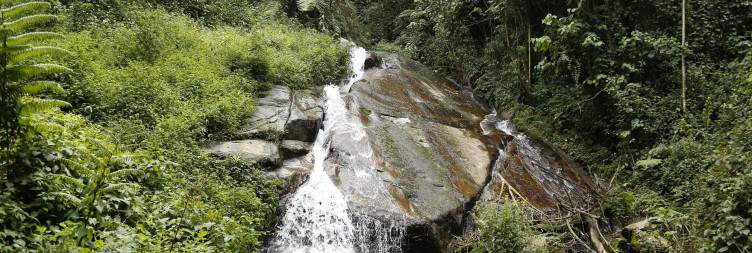 Kibira National Park Nature walk and Batwa smithing experience