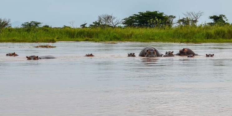 1-Day Bujumbura Memorable City Tour