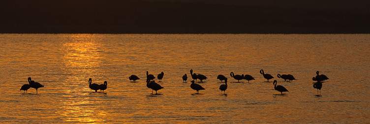 Lake Langano to Addis Ababa