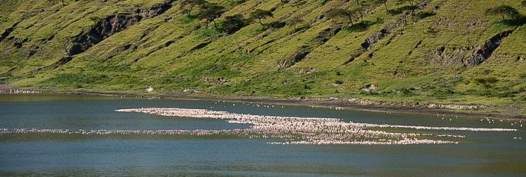 Lake Langano – Abijatta-Shalla National Park – Hawassa