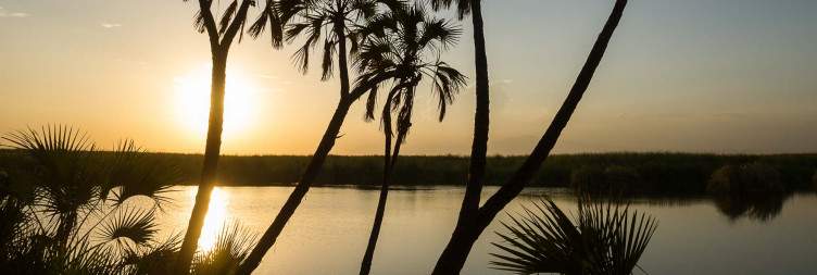 Explore Wildlife Safari, Filwoha Hot Springs and birdwatching