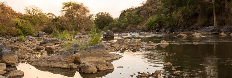 Drive from Addis Ababa to Awash National Park