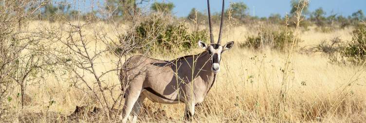 Wildlife and and Scenic Exploration