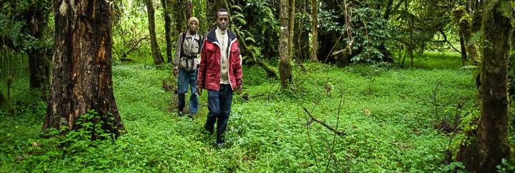 Bale Mountains National Park