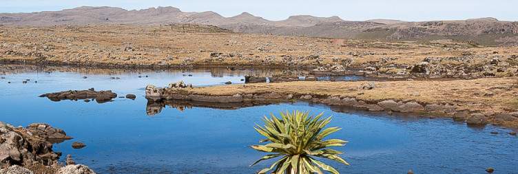 Drive to Lake Geber-Guracha