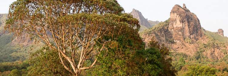 Habera – Web Valley – Adelay / Sanetti Plateau – Harenna Forest – Bale Robe
