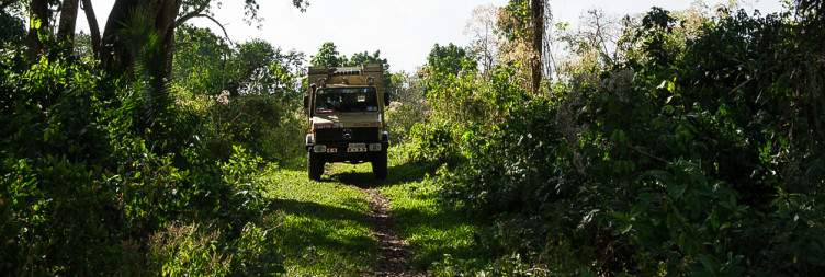 Fly Adddis Ababa to Jima and Drive to Chebera Churchura National Park