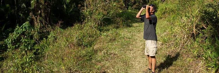 Into the Wild – Chebera Churchura Safari