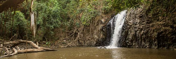 Explore Chebera Churchura – Forest, Waterfalls & Wildlife
