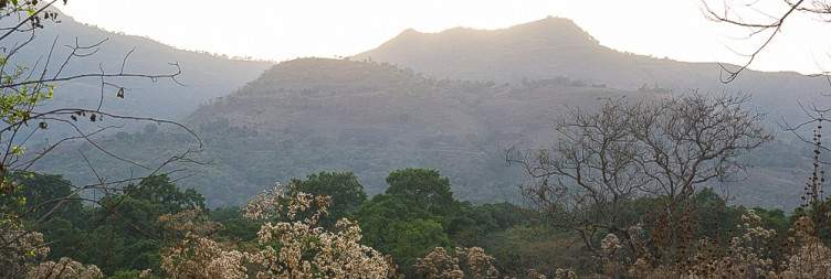 Lake Bulo Excursion and Continued Wildlife Viewing