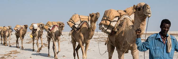 Addis Ababa to Semera and drive Hamedela Villages