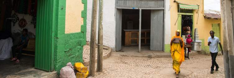 Full Day in Harar