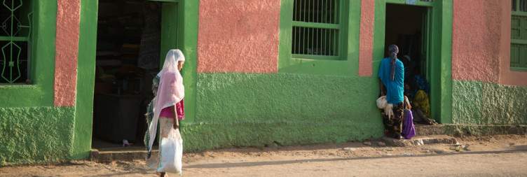 Full-Day Exploration of Harar & Hyena Feeding
