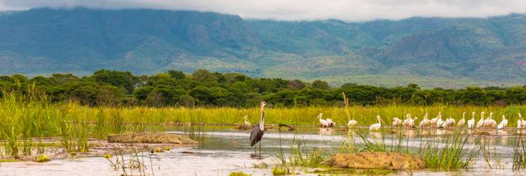 Lake Chamo & Dorze Village Discovery -hawassa